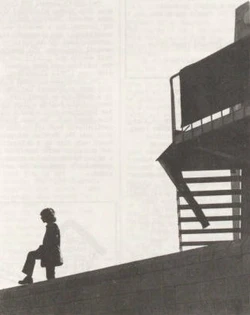 1975 Senate House occupation lone figure.jpg